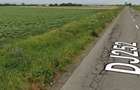 Teren in Buhoci, 10.000mp si 2.000mp - 1