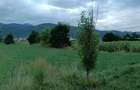 Vand teren intravilan in Dofteana, jude?ul Bacau 2.039 mp, cu dublu acces: DN12 ?i cale ferata - 2