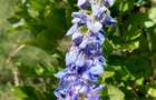 Teren de vanzare, 3525mp, acces asfaltat.Parcele la cerere! - 12