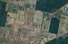 Teren Agricol Baba Novac Ardud - 3