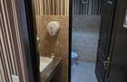 Inchiriez spatiu comercial zona Poclinica 3 - 16