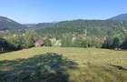 Teren de 8000 mp, în Bran - 5