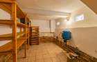 Vilă de închiriat P+1+M cu subsol, curte de 1.000 mp și livadă