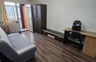 Inchiriere apartament ,Alexandru Cel Bun.Contract Anaf,300 euro - 4
