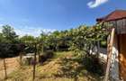 Casa batraneasca cu teren de 3.200 mp in Hertioana de Jos, jud.Bacau - 18