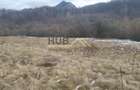 Teren Extravilan 10.035mp | Rasnov - zona Parau Rece
