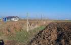 Teren Investiție 4750 mp Limanu - Parcelabil, lângă Mangalia
