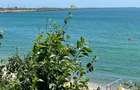 Exclusivitate-Eforie Nord,ap. 2 camere, parter, mobilat,curte proprie 23mp,boxa - 5