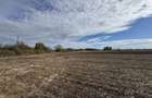 Vand Teren Extravilan Biled(zona industriala) 25.000mp,F.S la DN6