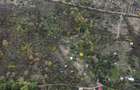 Teren 18,300mp Ghioroc - 16