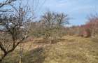 Teren Intravilan 43Ari zona Ortelec-Zalau intre case 4800eur/ar