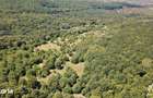 Livada de Nuci, 11 Hectare comasate, Cisnadie, Jud. Sibiu - 3