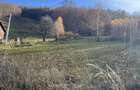 Teren de 5500 mp, în Muntele Rece - 2