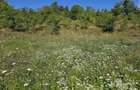 Vand teren intravilan - 3