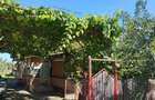 Casa de vanzare in comuna Bilciuresti, Dambovita - 2