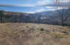 Teren de exceptie 3,1 ha intravilan | Panorama, utilitati, acces dublu | Sardu - 4