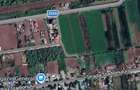 Teren extravilan 5000m2 URGENT - 2