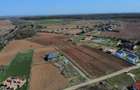 Teren de 1000 mp, în Bălteni - 5
