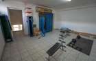 Modul hala, zona Fabricii - 5
