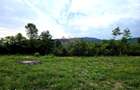 Teren Intravilan, utilitati in zona, 2600 mp, Draganeasa, Prahova - 6