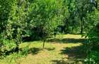 Casa  cu parau la limita proprietatii- zona submontana - 7