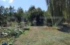 Casa de vanzare, 115 mp, teren 4000 mp, livada, zona Nord