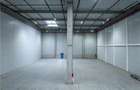 Spatiu Industrial - 10000 mp - Logistica - Productie - Depozitare - 4