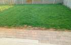 Duplex, Giroc, langa Timisoara, P+E, 5 camere, 332mp teren - 6