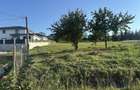 Teren de vanzare Bistrita 40 ari (4000mp) - 4