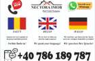 NECTORA IMOB-Apartament 3 camere, Str. Rosiorilor, Parter, Utilat - 2