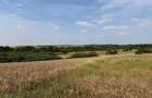 Teren intravilan Miersig, vedere la lac. 12,5 E/mp neg. Comision 0 - Miersig (Bihor) - 5