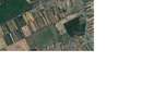 Teren intravilan 4500mp in comuna ogrezeni ,jud. Giurgiu - 2
