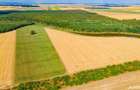 Teren agricol de vanzare- 4,66 Ha - 7