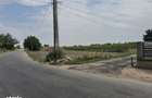 Teren intravilan in Corabia cu deschidere la doua strazi - 2
