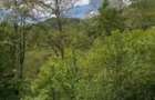 Vand teren extravilan comuna Barbatesti, Valcea, zona PARC NATIONAL!!! - 7