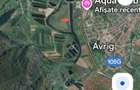 750 mp teren langa Olt,zona Avrig-Sacadate - 1