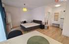 Apartament cu o camera de vanzare in Timisoara, zona Braytim - 2