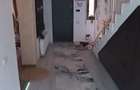Vanzare vila duplex cu terasa si 3 locuri parcare in Bragadiru-Ilfov zona Haliu