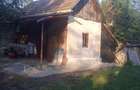 Vand casa in Visinelu cu 14 arii gradina - 4