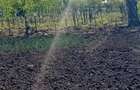 Vand teren intravilan - 3