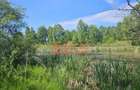 BALTA 15 ha si p #259;dure de plop #537;i stejar 14,5 ha 295.000 mp Dr #259;g #259;ne #537;t
