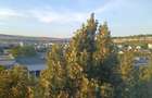Apartament 4 camere de vânzare, în Mănăștur, zona Câmpului - 7