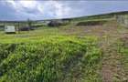 Vand teren intravilan, 2500 mp, in Chitorani, Prahova