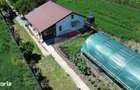 Casa 2 camere teren 6943mp Gologanu - 6