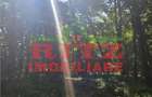 BALTA 15 ha si p #259;dure de plop #537;i stejar 14,5 ha 295.000 mp Dr #259;g #259;ne #537;t