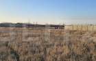 Teren intravilan 1677 mp în Băcia