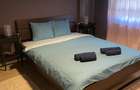 Proprietar Inchiriez Apartament 2 Camere Calea Torontalului - 5