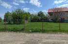 Spațiu comercial, în Alexandru cel Bun - 4