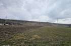 Oportunitate investitie Teren intravilan in Bacau - 3