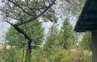 Casă cu 3 camere cu Teren 2700 Mp în Broșteni - 2